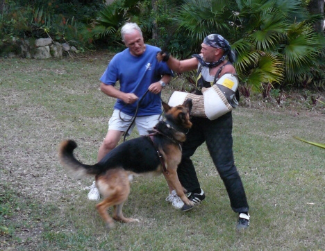 Seminar on Virgin Islands 2008